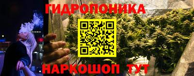 мяу мяу мука Татарск